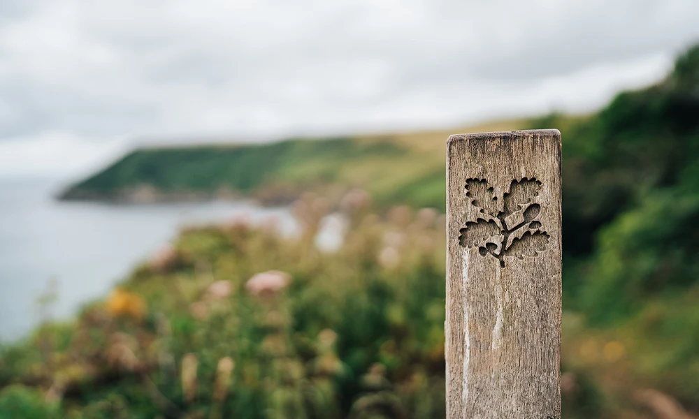 nationaltrust-galleryimg1
